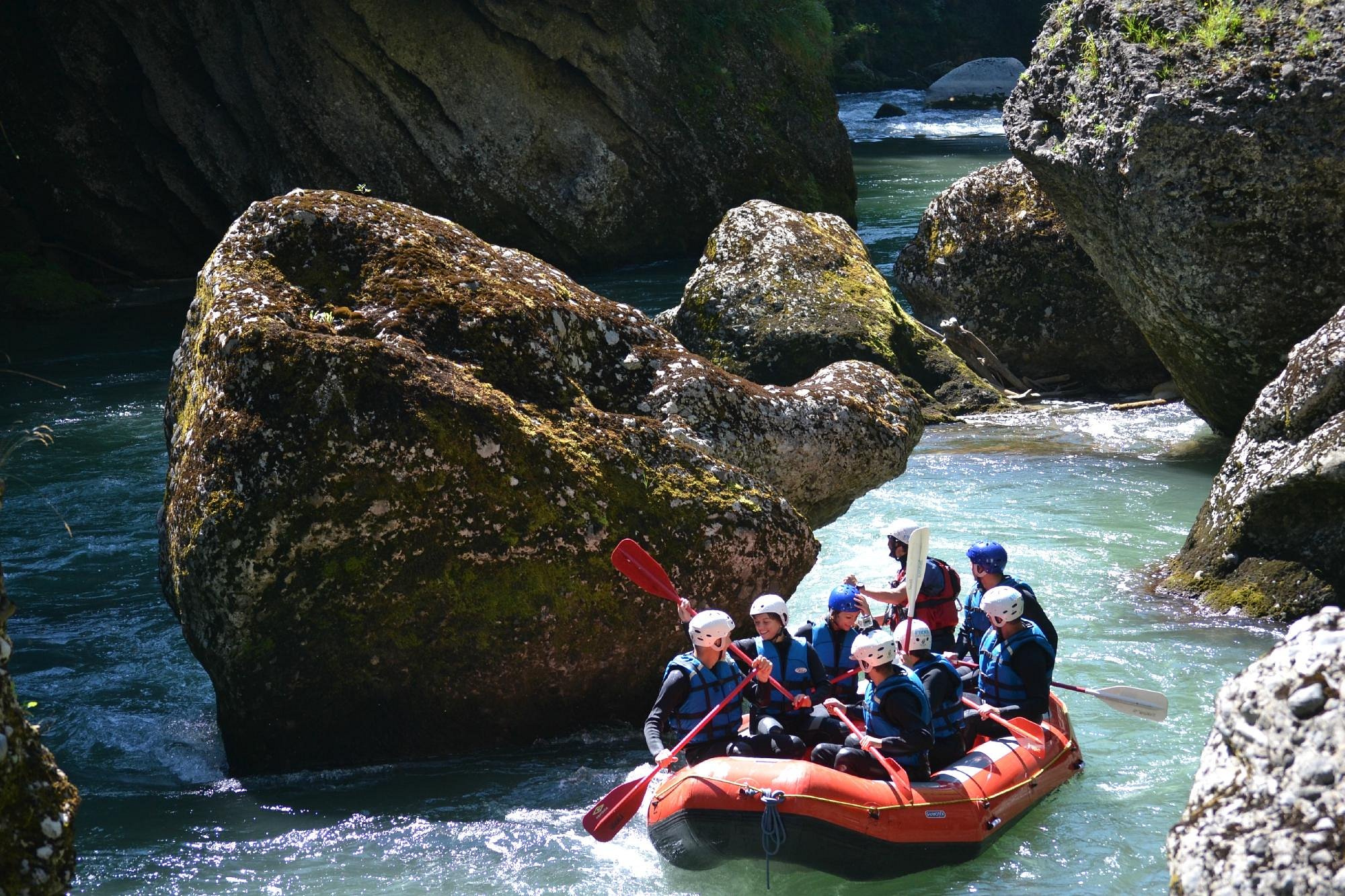 frogs-rafting