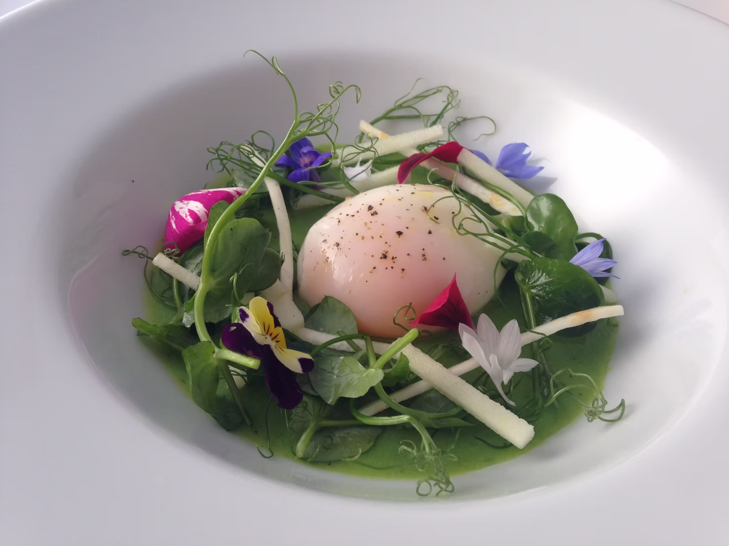 catered ski chalet Morzine