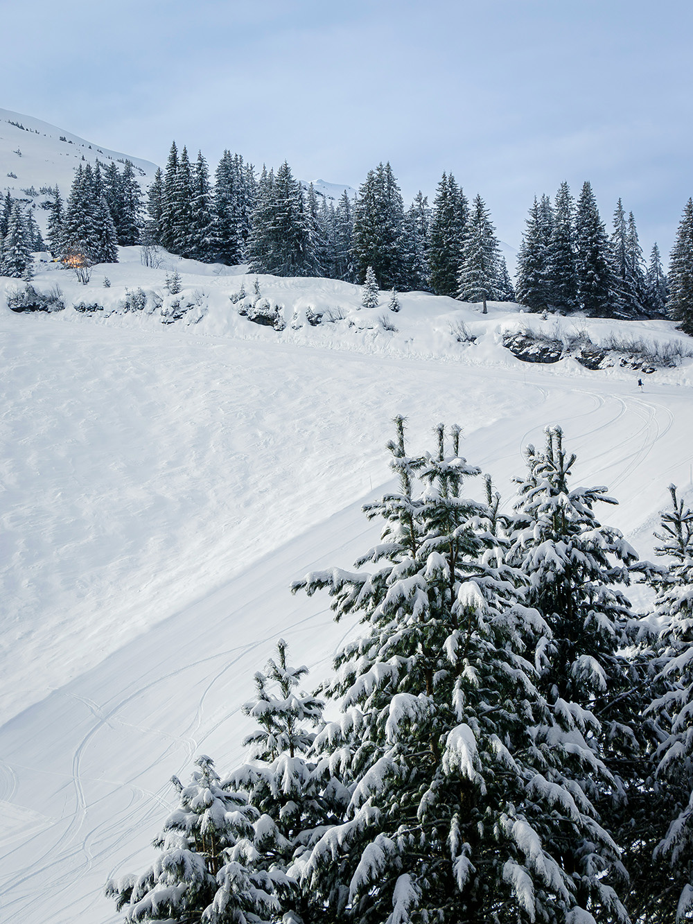 Snowy ski slopes and pine trees near Avoriaz