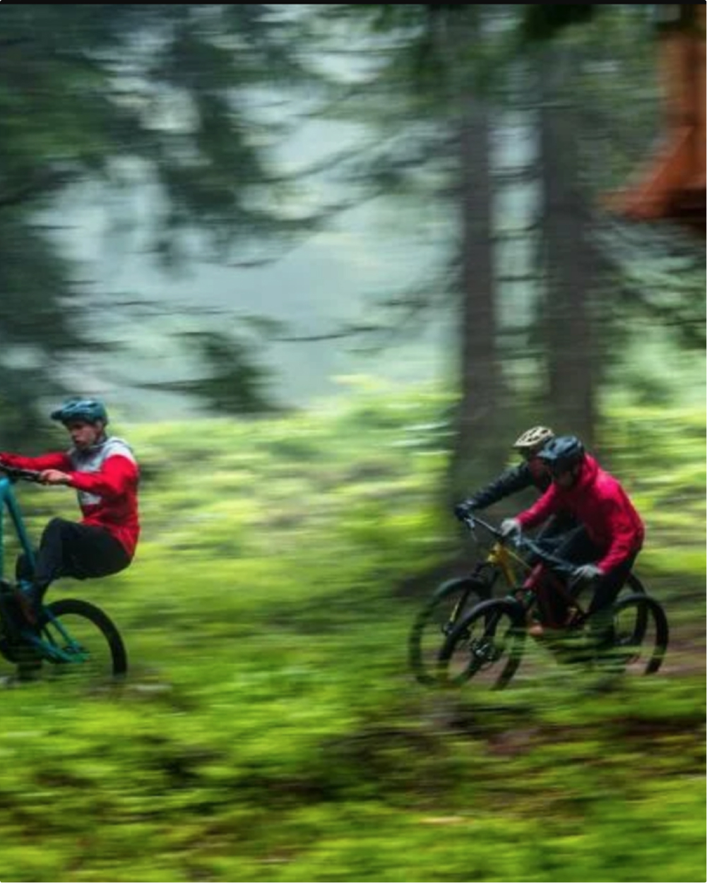Mountain bikers riding through a forest near Morzine