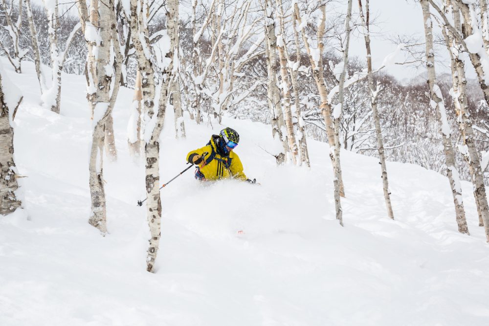 Off-piste skier descending through snow-covered trees