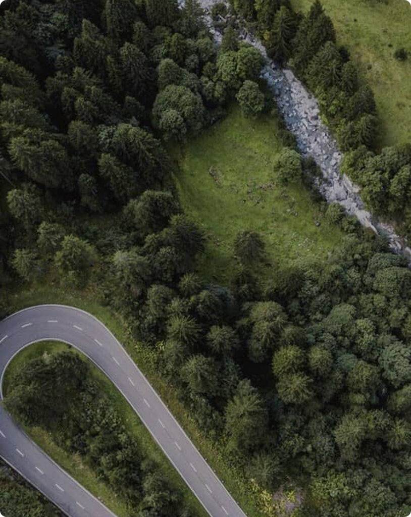 winding roads in between forest