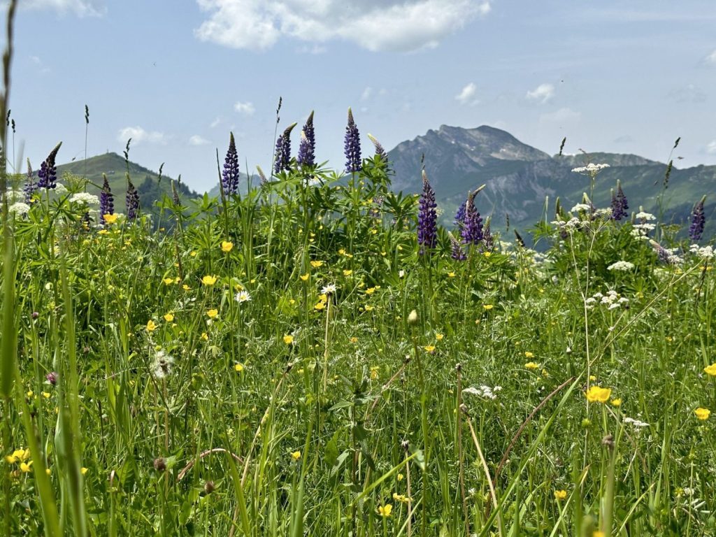 Our favourite hikes